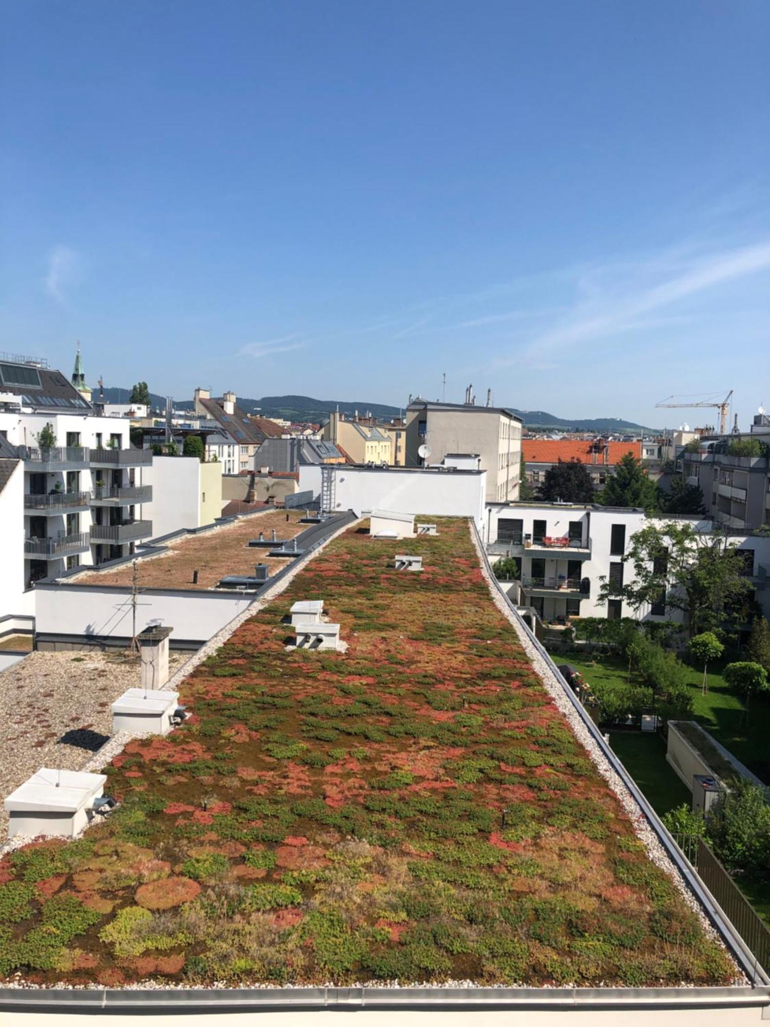 Vienna Sunny Side Up Apartments 외부 사진